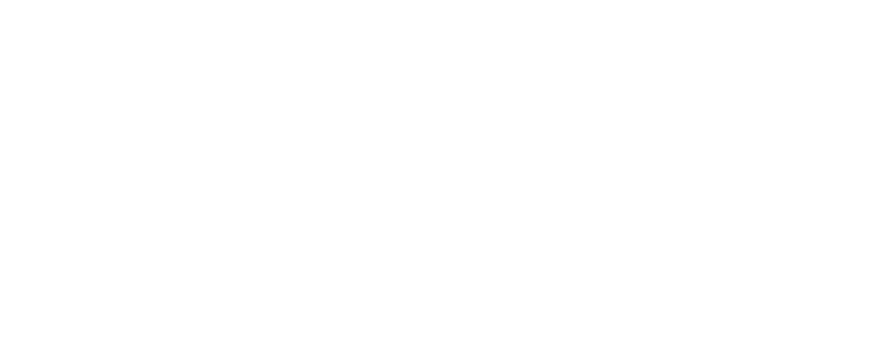 Banyan Bay logo
